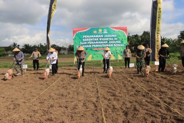 Polres Loteng Bersama Petani Wujudkan Ketahanan Pangan