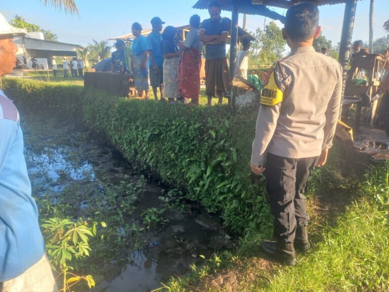 Geger! Mayat Pria Paruh Baya Ditemukan Tergeletak di Sawah Lombok Tengah